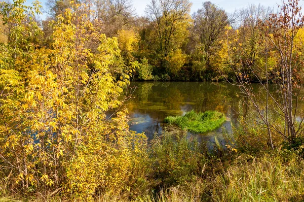 Река осенью, золотое время года — стоковое фото