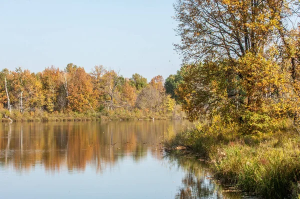 Paisaje. Otoño colorido follaje sobre el lago con hermosa — Foto de Stock