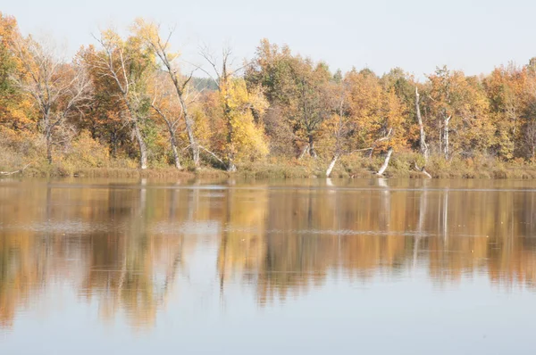 Sonbahar manzarası. Gölün üzerinde güzel bir sonbahar yeşilliği. — Stok fotoğraf
