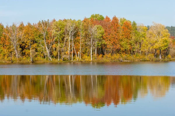 Sonbahar nehri, Sonbahar ağaçları altın içinde — Stok fotoğraf