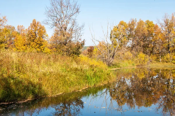 秋の風景。美しい湖の上の秋のカラフルな葉 — ストック写真