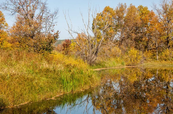 Paisaje. Otoño colorido follaje sobre el lago con hermosa — Foto de Stock