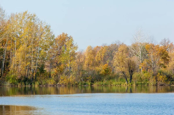 Фолл-Ривер, Осенние деревья в золоте — стоковое фото