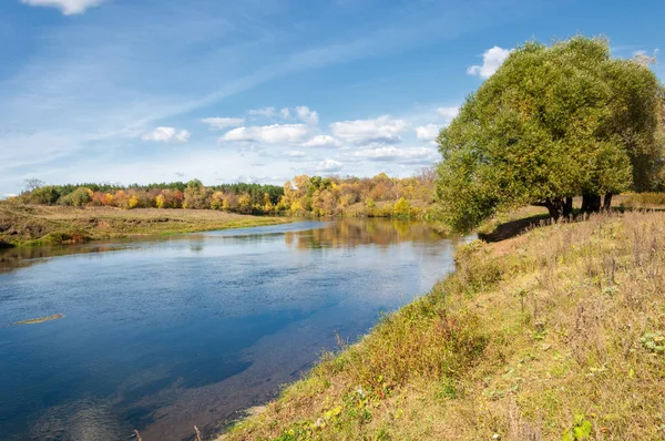 Autumn, rzeka, porośnięte lasem, jasny, słoneczny dzień — Zdjęcie stockowe