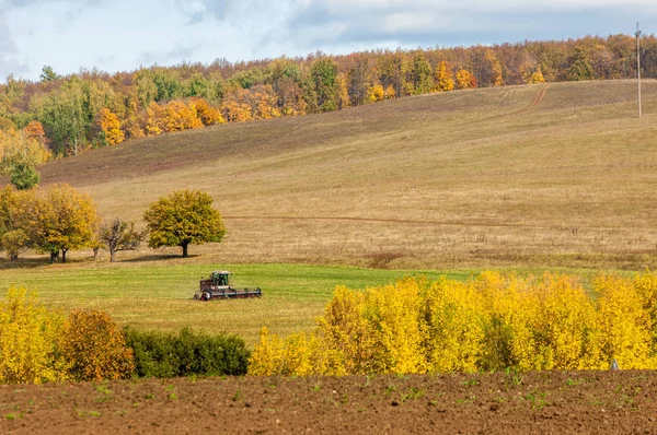 Hösten upplöjd fältet, en stor willow tree skördare klipper gräs — Stockfoto