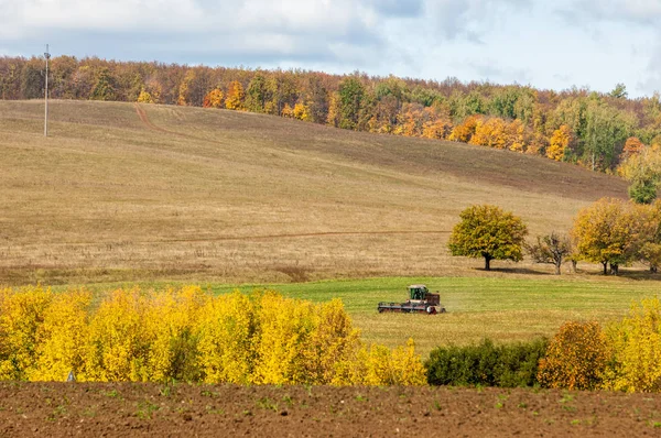 Hösten upplöjd fältet, en stor willow tree skördare klipper gräs — Stockfoto