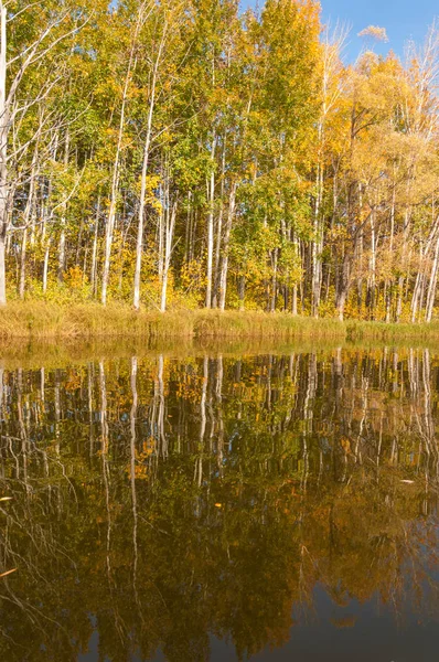 Herfst Rivier, Herfst bomen in goud — Stockfoto