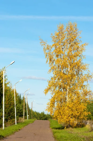 Podzim v parku — Stock fotografie