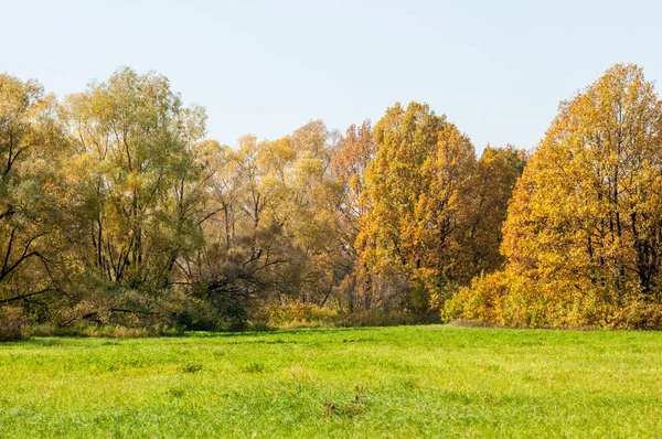 秋天的风景 美丽的秋天森林在国家公园 — 图库照片