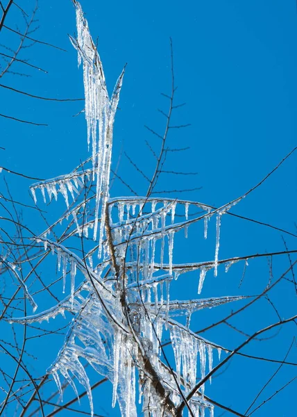 Icicles — Stock fotografie