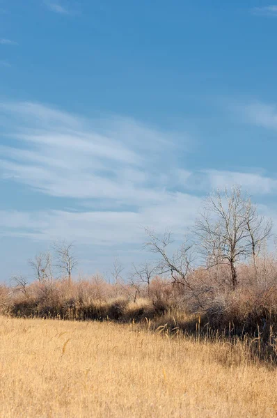 Steppe Zeitigen Frühling Natur Reisen — Stockfoto