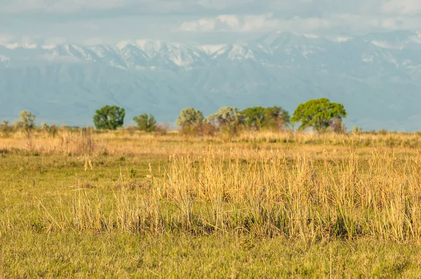 Steppe — Stockfoto