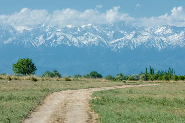 Steppe — Stockfoto