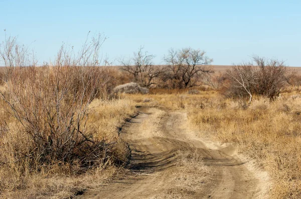 Steppe — Stock fotografie