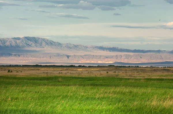 Steppe zomer. Zich opslaan. Lake in de woestijn — Stockfoto