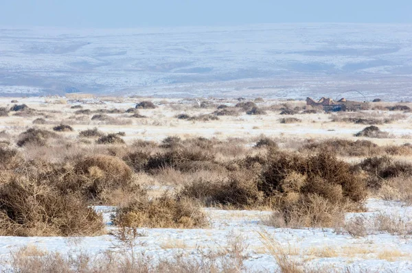 Bozkır, çayır, veld, veldt — Stok fotoğraf