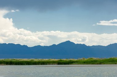 Steppe 'deki nehir. Çayır