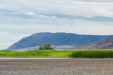 Steppe 'deki nehir. Çayır