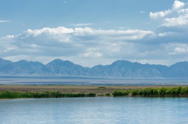 Steppe 'deki nehir. Çayır