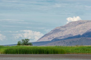 Steppe 'deki nehir. Çayır
