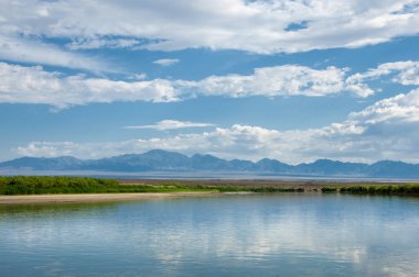 Steppe 'deki nehir. Çayır