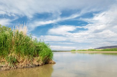 Steppe 'deki nehir. Çayır