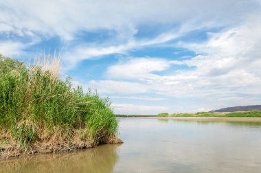 Steppe 'deki nehir. Çayır