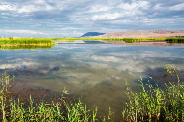 Steppe 'deki nehir. Çayır