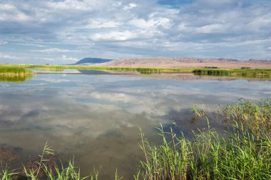 Steppe 'deki nehir. Çayır