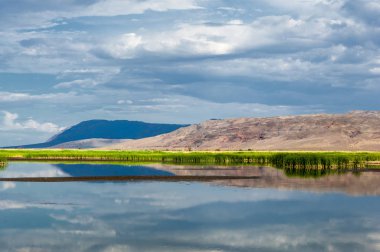 Steppe 'deki nehir. Çayır
