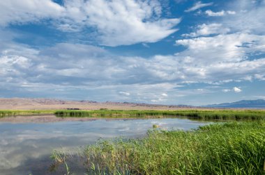 Steppe 'deki nehir. Çayır