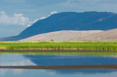 Turgai kurtardı. Çölde göl