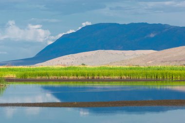 Turgai kurtardı. Çölde göl