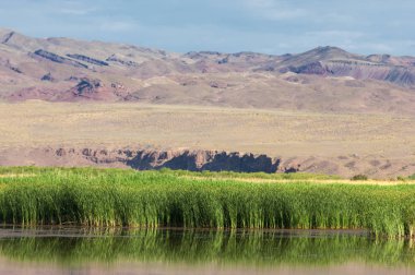 Turgai kurtardı. Çölde göl