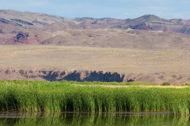 Turgai kurtardı. Çölde göl