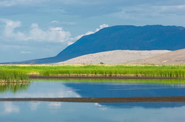Turgai kurtardı. Çölde göl
