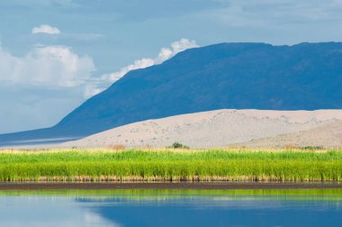 Turgai kurtardı. Çölde göl