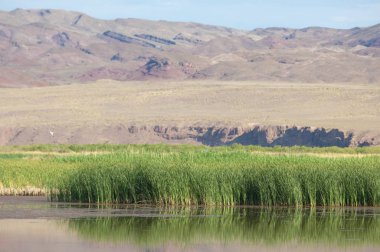Turgai kurtardı. Çölde göl