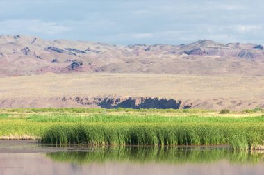 Turgai kurtardı. Çölde göl