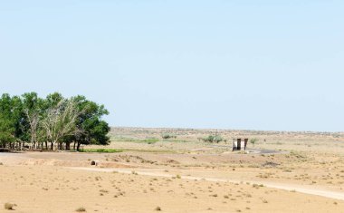 Çöle yakın. Çöl. 