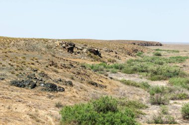 Çöle yakın. Çöl. 