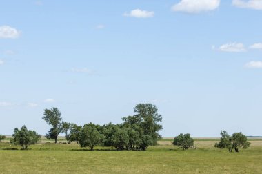 Çöle yakın. Çöl. bozkır.