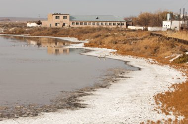 Baharın başında bozkır. Doğa, seyahat