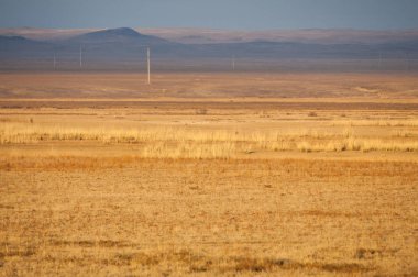 Baharın başında bozkır. Doğa, seyahat