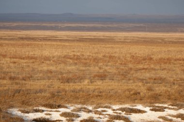 Baharın başında bozkır. Doğa, seyahat