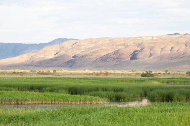 Bozkır yaz. Turgai Kaydet. Çölde Gölü