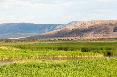 Bozkır yaz. Turgai Kaydet. Çölde Gölü