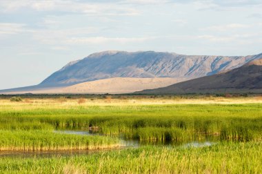 Bozkır yaz. Turgai Kaydet. Çölde Gölü
