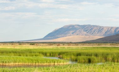 Bozkır yaz. Turgai Kaydet. Çölde Gölü