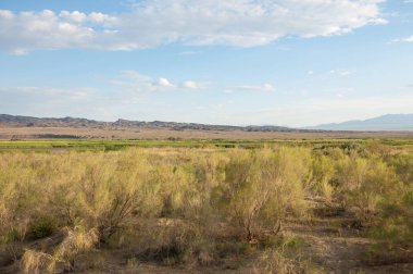 Bozkır yaz. Turgai Kaydet. Çölde Gölü